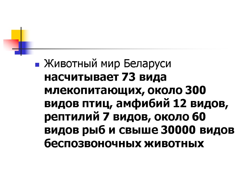 Животный мир Беларуси насчитывает 73 вида млекопитающих, около 300 видов птиц, амфибий 12 видов,